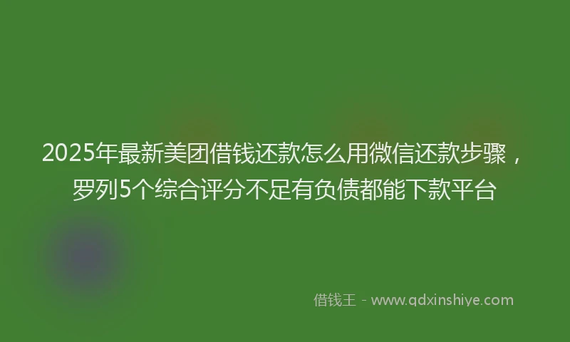 2025年最新美团借钱还款怎么用微信还款步骤，罗列5个综合评分不足有负债都能下款平台