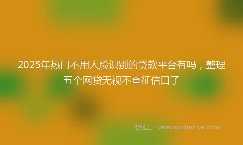 2025年热门不用人脸识别的贷款平台有吗，整理五个网贷无视不查征信口子