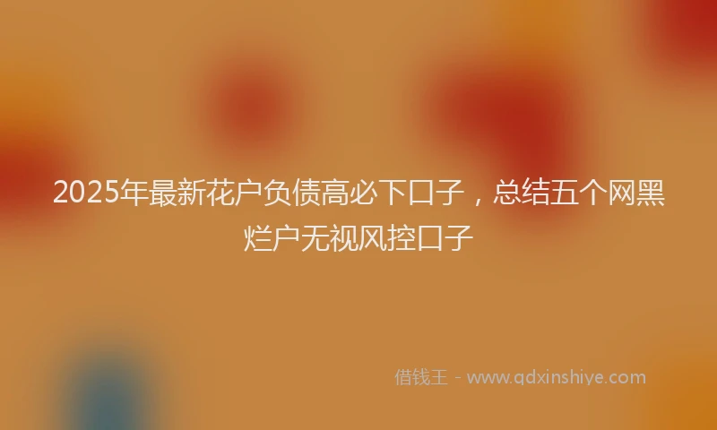 2025年最新花户负债高必下口子，总结五个网黑烂户无视风控口子