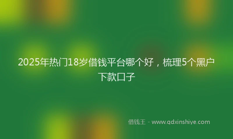 2025年热门18岁借钱平台哪个好，梳理5个黑户下款口子