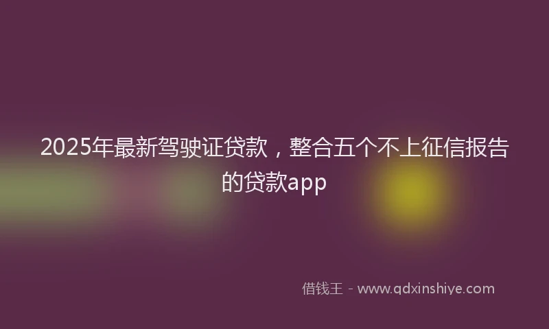 2025年最新驾驶证贷款，整合五个不上征信报告的贷款app