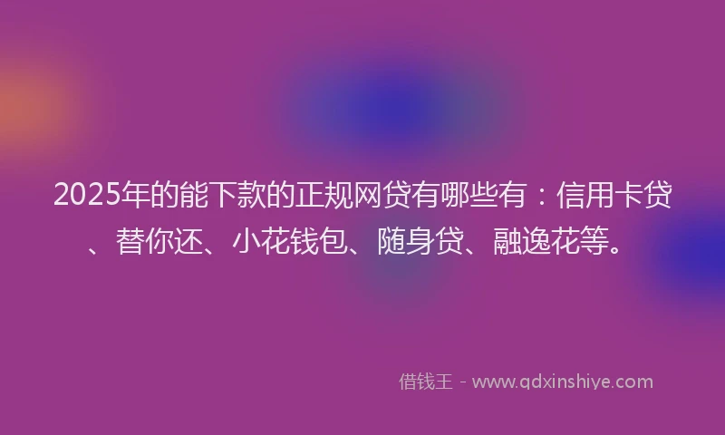 2025年的能下款的正规网贷有哪些有：信用卡贷、替你还、小花钱包、随身贷、融逸花等。