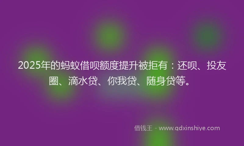 2025年的蚂蚁借呗额度提升被拒有：还呗、投友圈、滴水贷、你我贷、随身贷等。