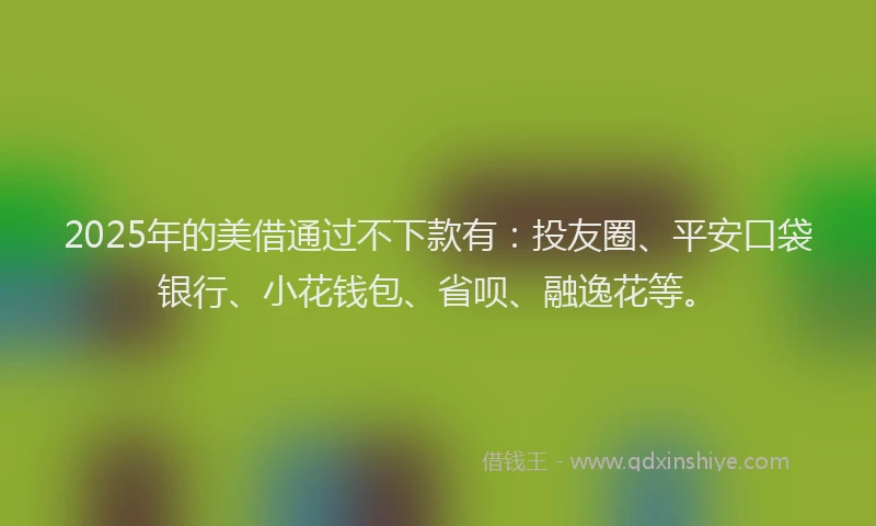 2025年的美借通过不下款有：投友圈、平安口袋银行、小花钱包、省呗、融逸花等。