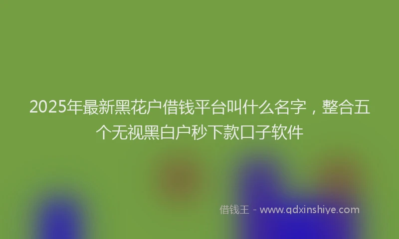2025年最新黑花户借钱平台叫什么名字，整合五个无视黑白户秒下款口子软件