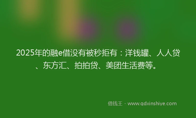 2025年的融e借没有被秒拒有：洋钱罐、人人贷、东方汇、拍拍贷、美团生活费等。