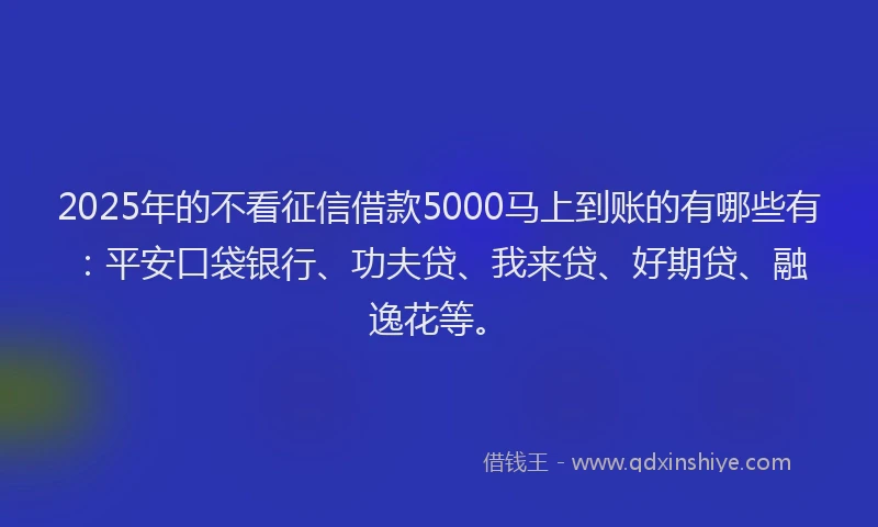 2025年的不看征信借款5000马上到账的有哪些有：平安口袋银行、功夫贷、我来贷、好期贷、融逸花等。