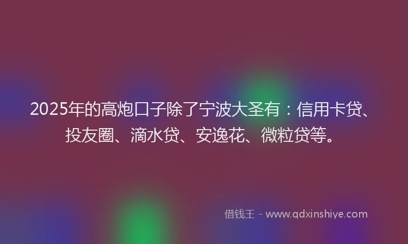 2025年的高炮口子除了宁波大圣有：信用卡贷、投友圈、滴水贷、安逸花、微粒贷等。