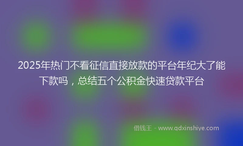2025年热门不看征信直接放款的平台年纪大了能下款吗，总结五个公积金快速贷款平台