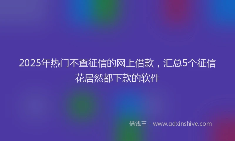 2025年热门不查征信的网上借款，汇总5个征信花居然都下款的软件