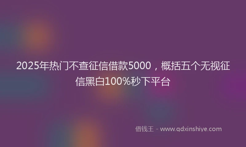 2025年热门不查征信借款5000，概括五个无视征信黑白100%秒下平台