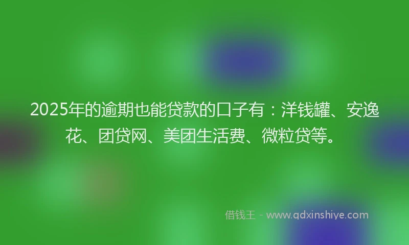 2025年的逾期也能贷款的口子有：洋钱罐、安逸花、团贷网、美团生活费、微粒贷等。