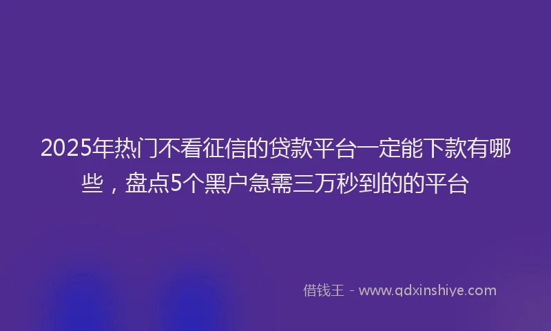2025年热门不看征信的贷款平台一定能下款有哪些，盘点5个黑户急需三万秒到的的平台