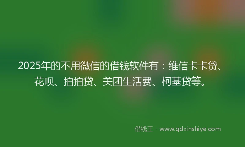 2025年的不用微信的借钱软件有：维信卡卡贷、花呗、拍拍贷、美团生活费、柯基贷等。