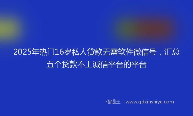 2025年热门16岁私人贷款无需软件微信号，汇总五个贷款不上诚信平台的平台