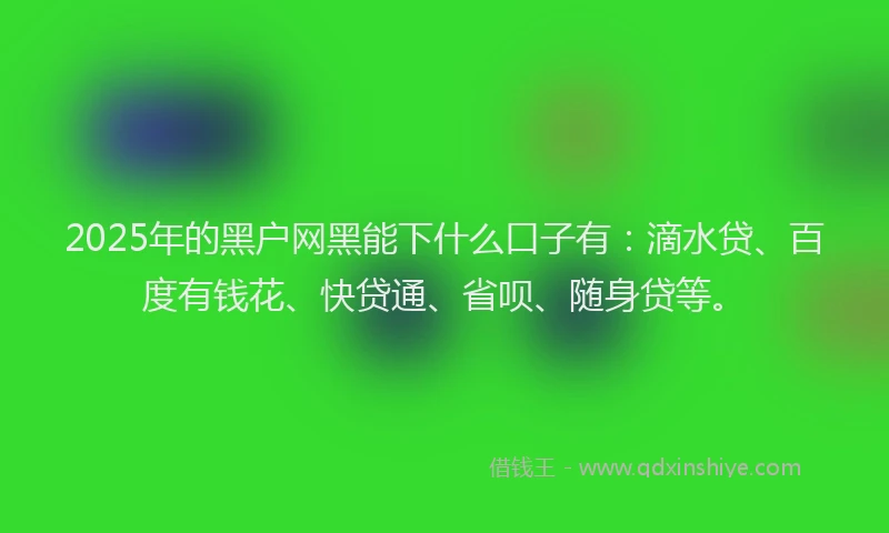2025年的黑户网黑能下什么口子有：滴水贷、百度有钱花、快贷通、省呗、随身贷等。