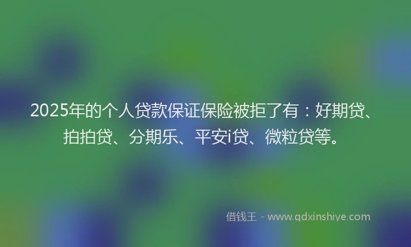 2025年的个人贷款保证保险被拒了有：好期贷、拍拍贷、分期乐、平安i贷、微粒贷等。