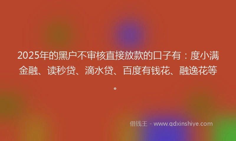 2025年的黑户不审核直接放款的口子有：度小满金融、读秒贷、滴水贷、百度有钱花、融逸花等。