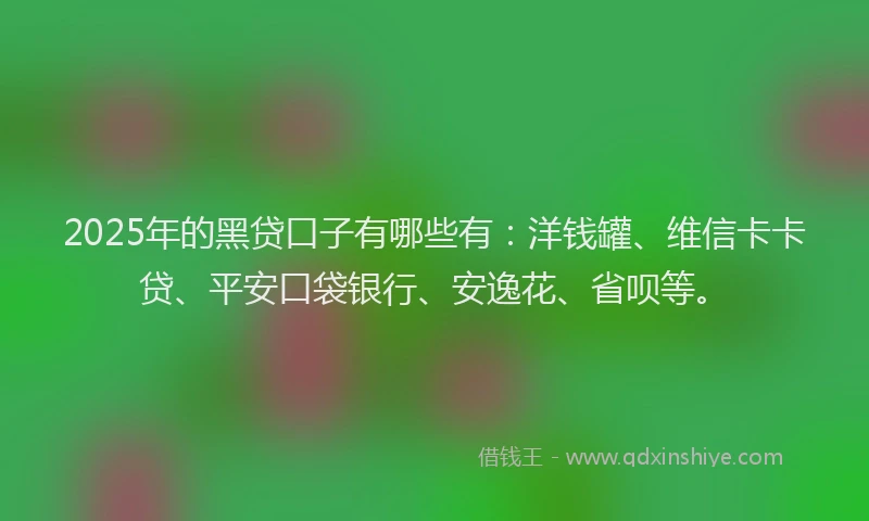 2025年的黑贷口子有哪些有：洋钱罐、维信卡卡贷、平安口袋银行、安逸花、省呗等。