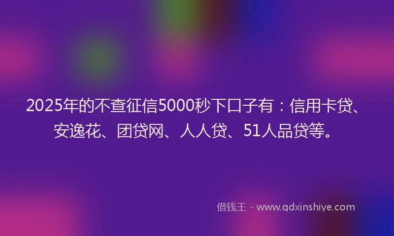 2025年的不查征信5000秒下口子有：信用卡贷、安逸花、团贷网、人人贷、51人品贷等。