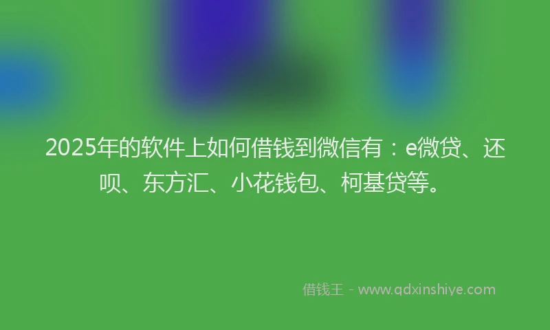 2025年的软件上如何借钱到微信有：e微贷、还呗、东方汇、小花钱包、柯基贷等。