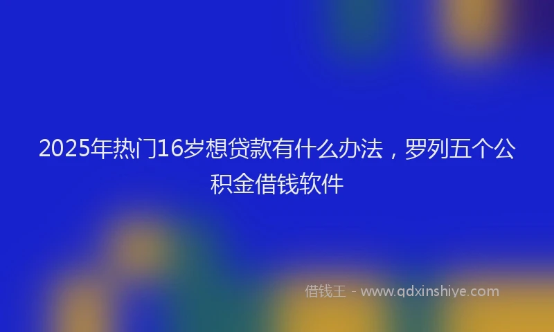 2025年热门16岁想贷款有什么办法，罗列五个公积金借钱软件