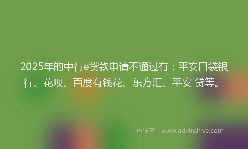 2025年的中行e贷款申请不通过有：平安口袋银行、花呗、百度有钱花、东方汇、平安i贷等。