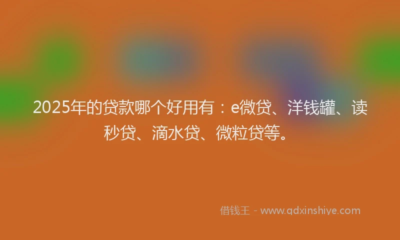 2025年的贷款哪个好用有：e微贷、洋钱罐、读秒贷、滴水贷、微粒贷等。
