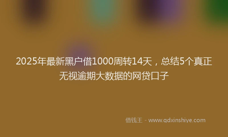 2025年最新黑户借1000周转14天，总结5个真正无视逾期大数据的网贷口子