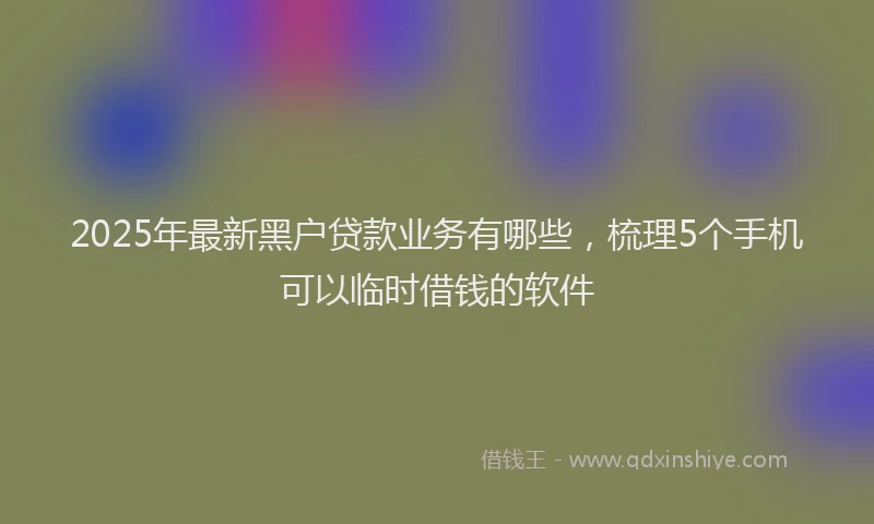 2025年最新黑户贷款业务有哪些，梳理5个手机可以临时借钱的软件