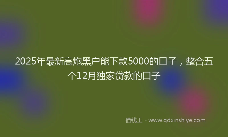 2025年最新高炮黑户能下款5000的口子，整合五个12月独家贷款的口子