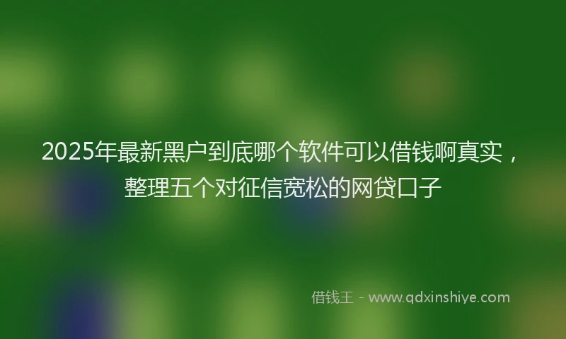 2025年最新黑户到底哪个软件可以借钱啊真实，整理五个对征信宽松的网贷口子
