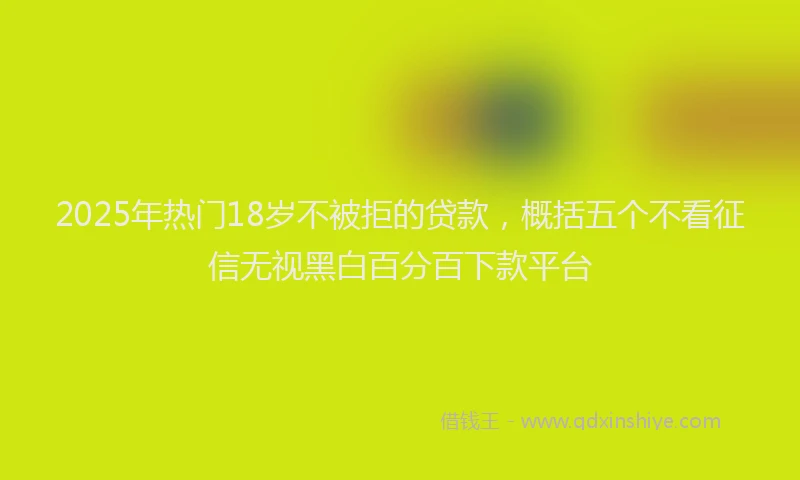 2025年热门18岁不被拒的贷款，概括五个不看征信无视黑白百分百下款平台