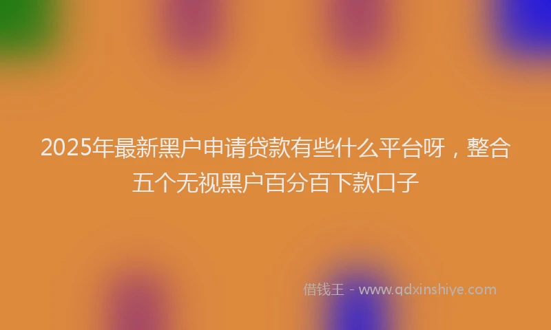 2025年最新黑户申请贷款有些什么平台呀，整合五个无视黑户百分百下款口子