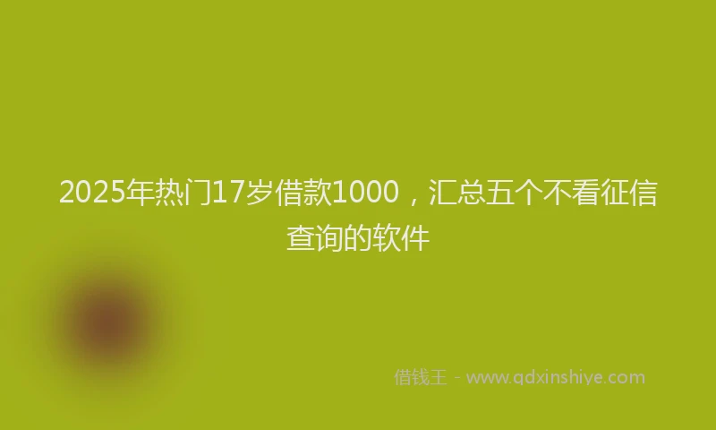 2025年热门17岁借款1000，汇总五个不看征信查询的软件