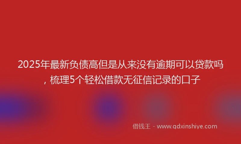 2025年最新负债高但是从来没有逾期可以贷款吗，梳理5个轻松借款无征信记录的口子