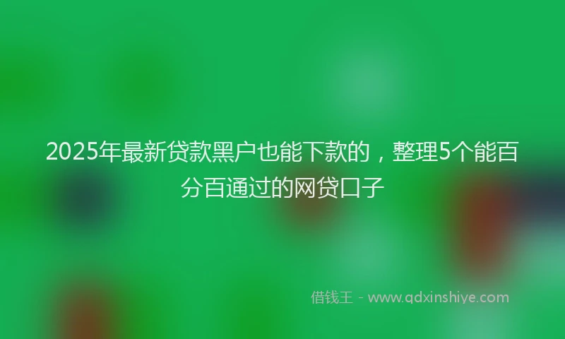 2025年最新贷款黑户也能下款的，整理5个能百分百通过的网贷口子