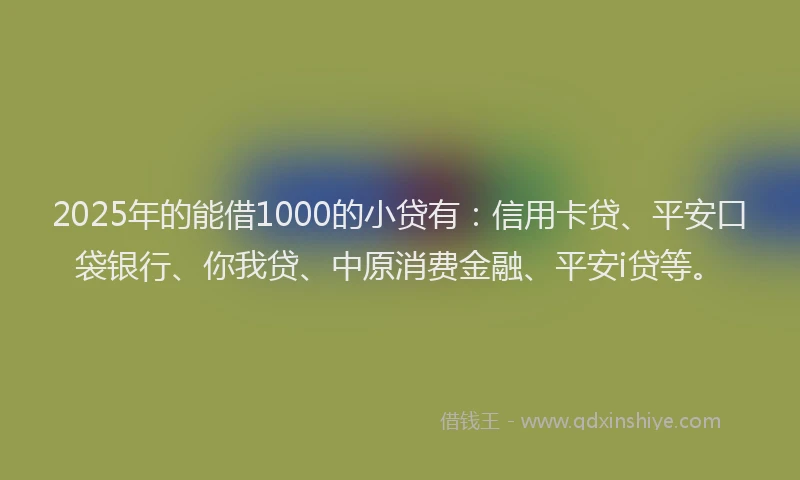 2025年的能借1000的小贷有：信用卡贷、平安口袋银行、你我贷、中原消费金融、平安i贷等。
