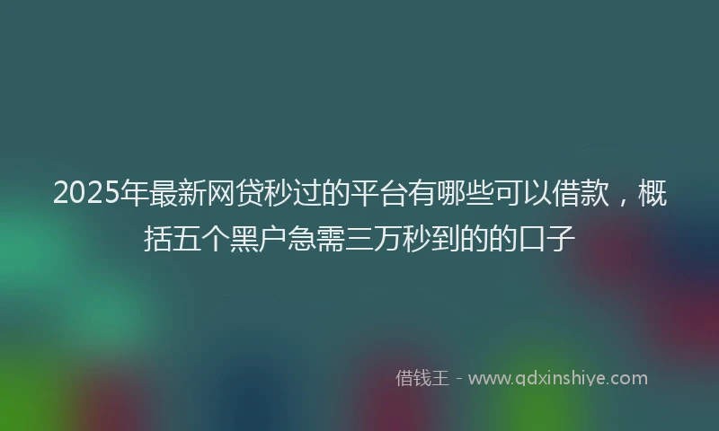 2025年最新网贷秒过的平台有哪些可以借款,概括五个黑户急需三万秒到的的口子