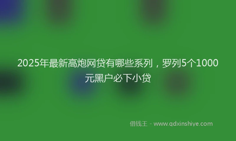 2025年最新高炮网贷有哪些系列，罗列5个1000元黑户必下小贷