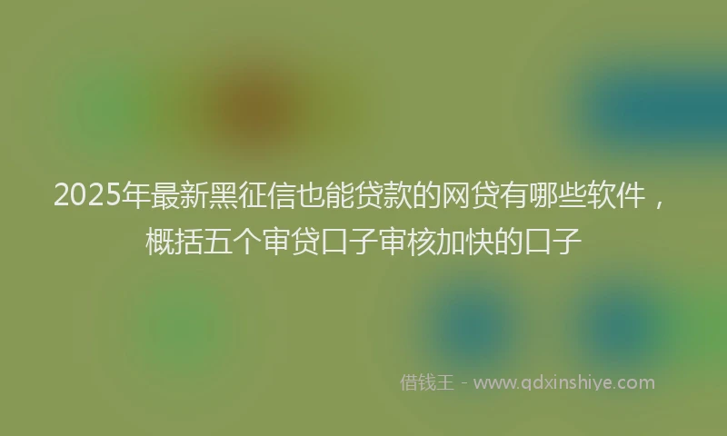 2025年最新黑征信也能贷款的网贷有哪些软件，概括五个审贷口子审核加快的口子