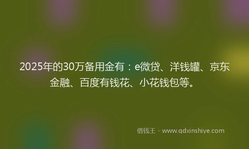 2025年的30万备用金有：e微贷、洋钱罐、京东金融、百度有钱花、小花钱包等。