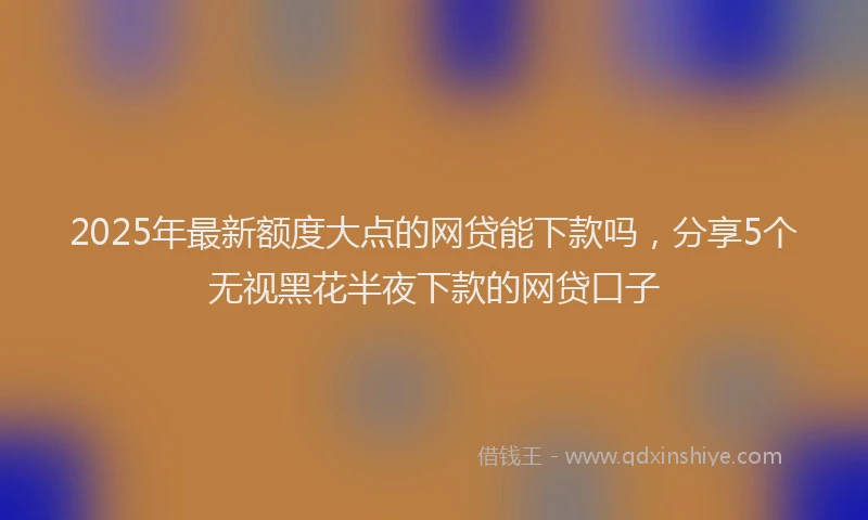 2025年最新额度大点的网贷能下款吗，分享5个无视黑花半夜下款的网贷口子
