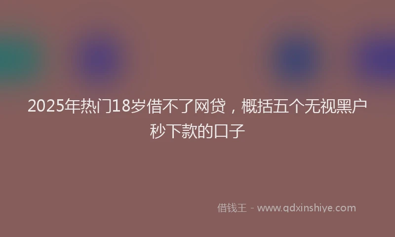 2025年热门18岁借不了网贷，概括五个无视黑户秒下款的口子
