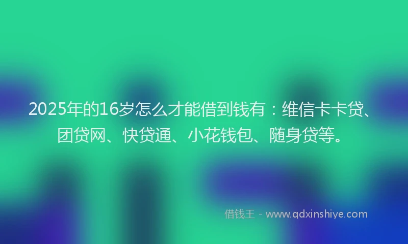 2025年的16岁怎么才能借到钱有：维信卡卡贷、团贷网、快贷通、小花钱包、随身贷等。