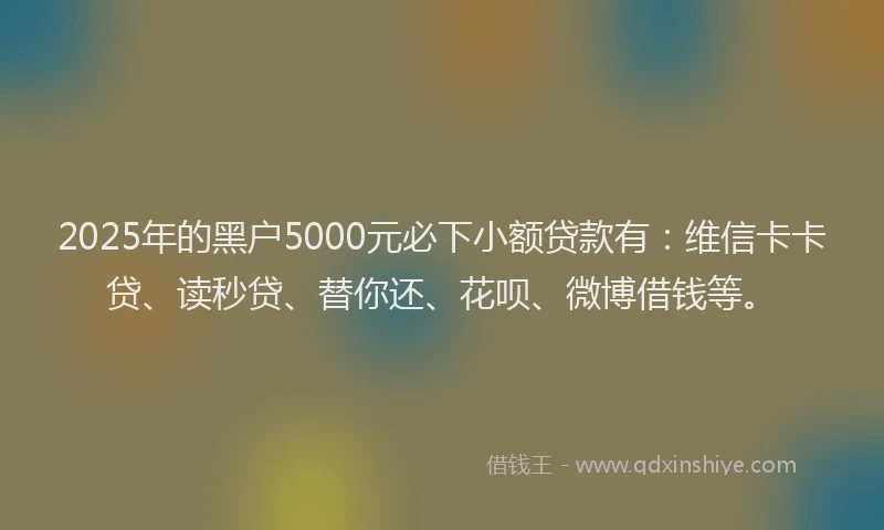 2025年的黑户5000元必下小额贷款有：维信卡卡贷、读秒贷、替你还、花呗、微博借钱等。