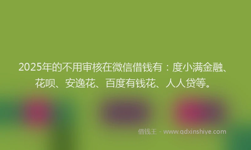 2025年的不用审核在微信借钱有：度小满金融、花呗、安逸花、百度有钱花、人人贷等。