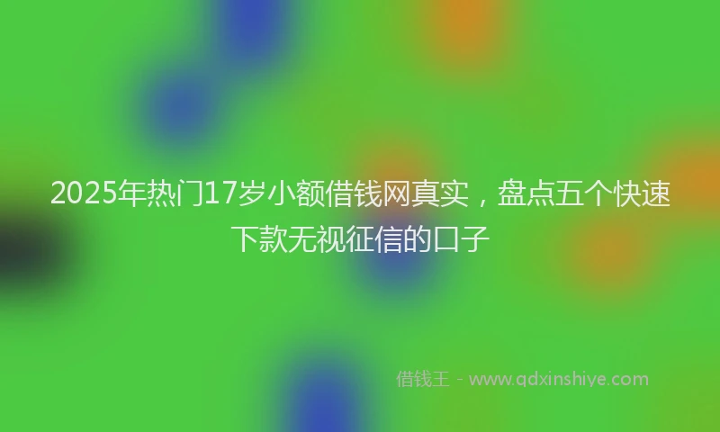 2025年热门17岁小额借钱网真实，盘点五个快速下款无视征信的口子