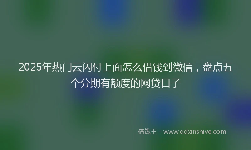 2025年热门云闪付上面怎么借钱到微信，盘点五个分期有额度的网贷口子