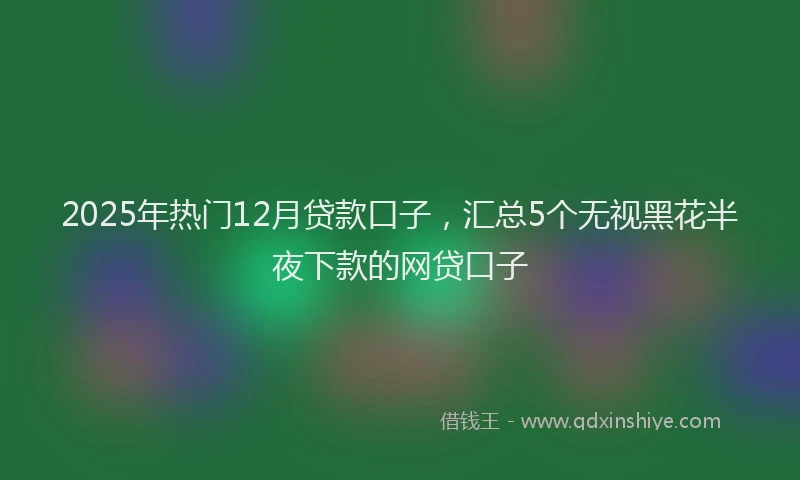 2025年热门12月贷款口子，汇总5个无视黑花半夜下款的网贷口子